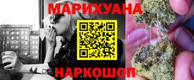 крисы Аргун